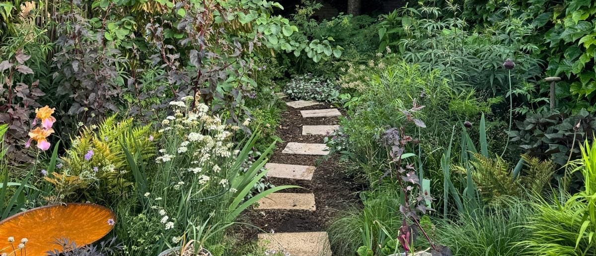 Mijn eigen tuinrenovatie: van stortplaats naar groene stadstuin (incl. foto's)