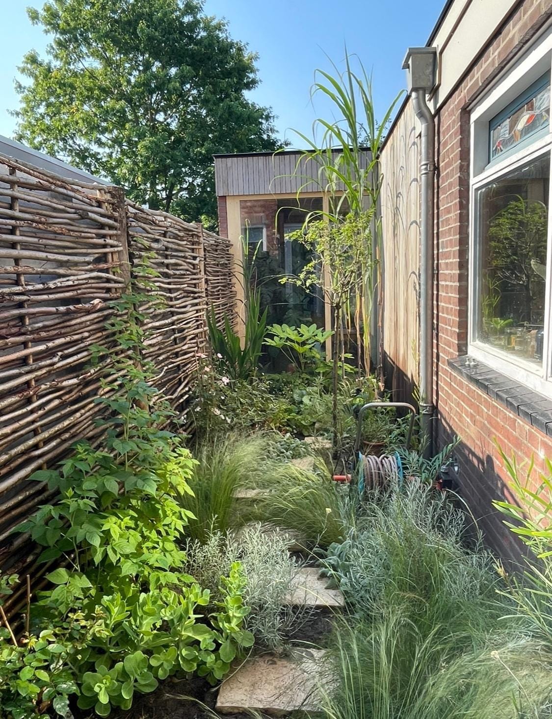 Je droomtuin ontwerpen en indelen: de belangrijkste vragen + praktische DIY-tips